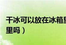 干冰可以放在冰箱里保存嗎（干冰可以放冰箱里嗎）