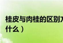 桂皮與肉桂的區(qū)別方式（桂皮和肉桂的區(qū)別是什么）