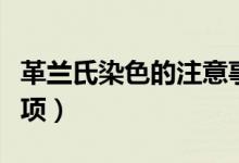 革蘭氏染色的注意事項（革蘭氏染色的注意事項）