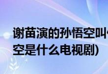 謝苗演的孫悟空叫什么電視劇(謝苗演的孫悟空是什么電視劇)