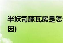 半妖司藤瓦房是怎么死的(半妖司藤瓦房的死因)