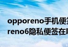 opporeno手機便簽可以設(shè)置密碼嗎（opporeno6隱私便簽在哪里）