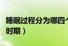 睡眠過程分為哪四個階段（睡眠過程分為幾個時期）