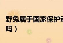 野兔屬于國家保護動物嗎（野兔屬于保護動物嗎）