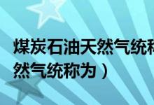 煤炭石油天然氣統(tǒng)稱為什么原料（煤炭石油天然氣統(tǒng)稱為）