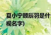 夏小寧顧辰羽是什么電視(夏小寧顧辰羽的電視名字)