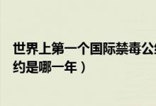 世界上第一個(gè)國(guó)際禁毒公約是哪年（世界第一個(gè)國(guó)際禁毒公約是哪一年）