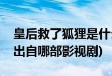 皇后救了狐貍是什么電視劇(皇后救一只狐貍出自哪部影視劇)