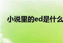 小說里的ed是什么（小說ed是什么意思）