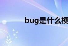 bug是什么梗（bug是什么梗）