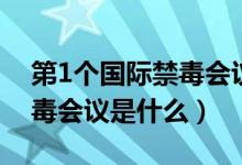 第1個(gè)國(guó)際禁毒會(huì)議是在哪里（第1個(gè)國(guó)際禁毒會(huì)議是什么）