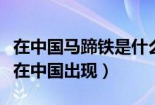 在中國(guó)馬蹄鐵是什么時(shí)候使用的（馬蹄鐵何時(shí)在中國(guó)出現(xiàn)）