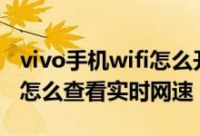 vivo手機(jī)wifi怎么開(kāi)顯示實(shí)時(shí)網(wǎng)速（vivos10怎么查看實(shí)時(shí)網(wǎng)速）