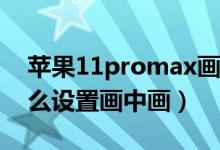 蘋果11promax畫中畫怎么設置（蘋果11怎么設置畫中畫）