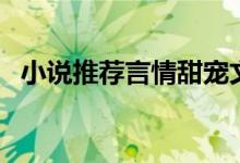 小說推薦言情甜寵文有肉長篇（小說甜文）