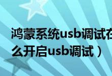 鴻蒙系統(tǒng)usb調(diào)試在哪發(fā)送通知（鴻蒙系統(tǒng)怎么開(kāi)啟usb調(diào)試）