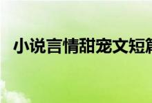 小說言情甜寵文短篇帶肉（小說言情推薦）