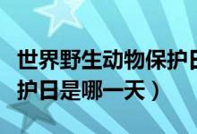 世界野生動物保護(hù)日是哪天（世界野生動物保護(hù)日是哪一天）