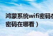 鴻蒙系統(tǒng)wifi密碼在哪個(gè)文件（鴻蒙系統(tǒng)wifi密碼在哪看）