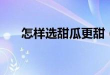 怎樣選甜瓜更甜（怎樣選甜瓜是甜的）