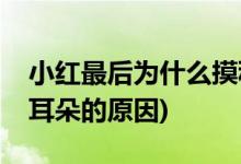 小紅最后為什么摸秋水耳朵(小紅最后摸秋水耳朵的原因)