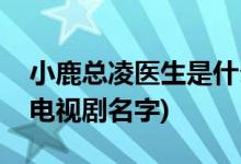 小鹿總凌醫(yī)生是什么電視劇(小鹿總凌醫(yī)生的電視劇名字)