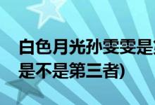 白色月光孫雯雯是第三者嗎(白色月光孫雯雯是不是第三者)