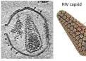 新技術(shù)解決了 HIV 衣殼結(jié)構(gòu)并可能成為衣殼靶向抗病毒藥物的藍(lán)圖