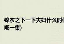 錦衣之下一下夫婦什么時(shí)候在一起(錦衣之下陸繹表白今夏是哪一集)