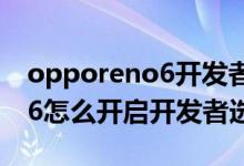 opporeno6開發(fā)者選項怎么開（opporeno6怎么開啟開發(fā)者選項）