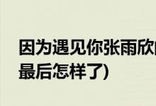 因?yàn)橛鲆?jiàn)你張雨欣的結(jié)局(因?yàn)橛鲆?jiàn)你張雨欣最后怎樣了)