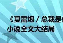 《夏雷炮／總裁是你推我入地獄阿年霍錦城》小說全文大結(jié)局