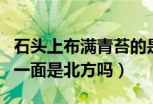 石頭上布滿青苔的是哪一面（石頭上的青苔的一面是北方嗎）