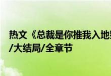 熱文《總裁是你推我入地獄阿年霍錦城》夏雷炮開全文閱讀/大結(jié)局/全章節(jié)