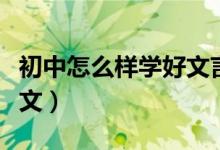 初中怎么樣學(xué)好文言文（初中生如何學(xué)好文言文）