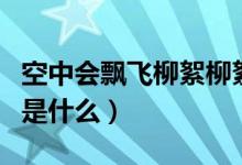 空中會飄飛柳絮柳絮是指（現(xiàn)在外面飄的飛絮是什么）