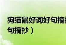 狗貓鼠好詞好句摘抄賞析6句（狗貓鼠好詞好句摘抄）