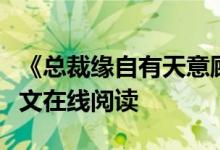 《總裁緣自有天意顧雪晴龍哲瀚》夏小霜開(kāi)全文在線閱讀