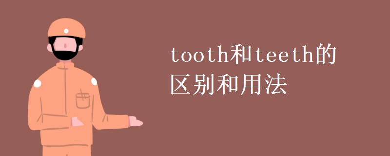 tooth和teeth的區(qū)別和用法