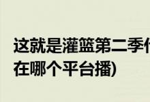 這就是灌籃第二季什么時候播出(這就是灌籃2在哪個平臺播)