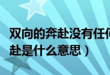 雙向的奔赴沒有任何意義什么意思（雙向的奔赴是什么意思）