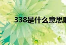 338是什么意思?。?38是什么意思）