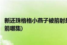 新還珠格格小燕子被箭射是第幾集(新版小燕子被五阿哥射中箭哪集)