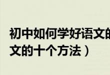 初中如何學好語文的最佳方法（初中生學好語文的十個方法）