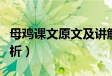 母雞課文原文及講解（母雞課文原文及段落解析）