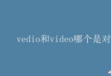 教育資訊：vedio和video哪個是對的