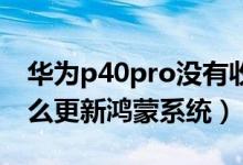 華為p40pro沒(méi)有收到鴻蒙更新（華為p40怎么更新鴻蒙系統(tǒng)）