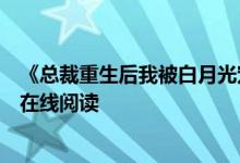 《總裁重生后我被白月光寵上天顏夕傅深》時來秋日開全文在線閱讀