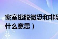 密室逃脫微恐和非恐啥意思（密室逃脫非恐是什么意思）