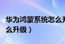 華為鴻蒙系統(tǒng)怎么升級(jí)申請(qǐng)（華為鴻蒙系統(tǒng)怎么升級(jí)）